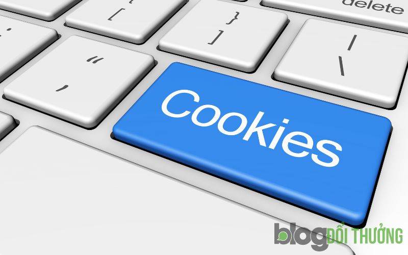 Blogdoithuong sử dụng cookie để theo dõi hành vi truy cập của bạn